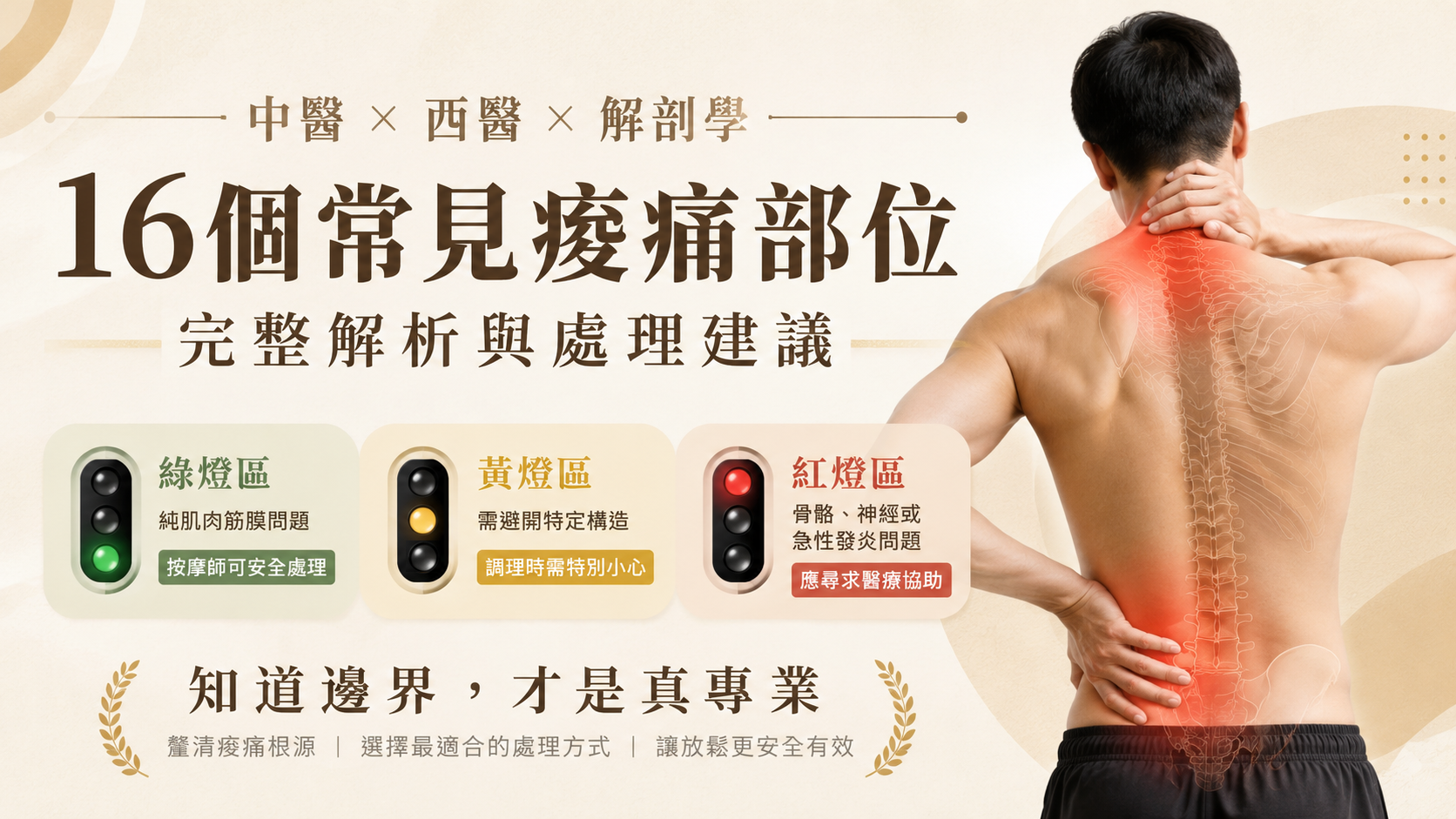 痠痛部位解析:從中醫、西醫、解剖學角度判斷,哪些按摩師能處理,哪些必須找醫生圖片